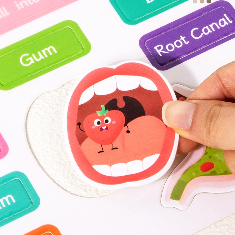 Druk boek voor kinderen Lichaamsstructuurboek Kinderen Vroeg onderwijs Cognitief menselijk lichaam Creatief plakboek Omklapbaar stil boek