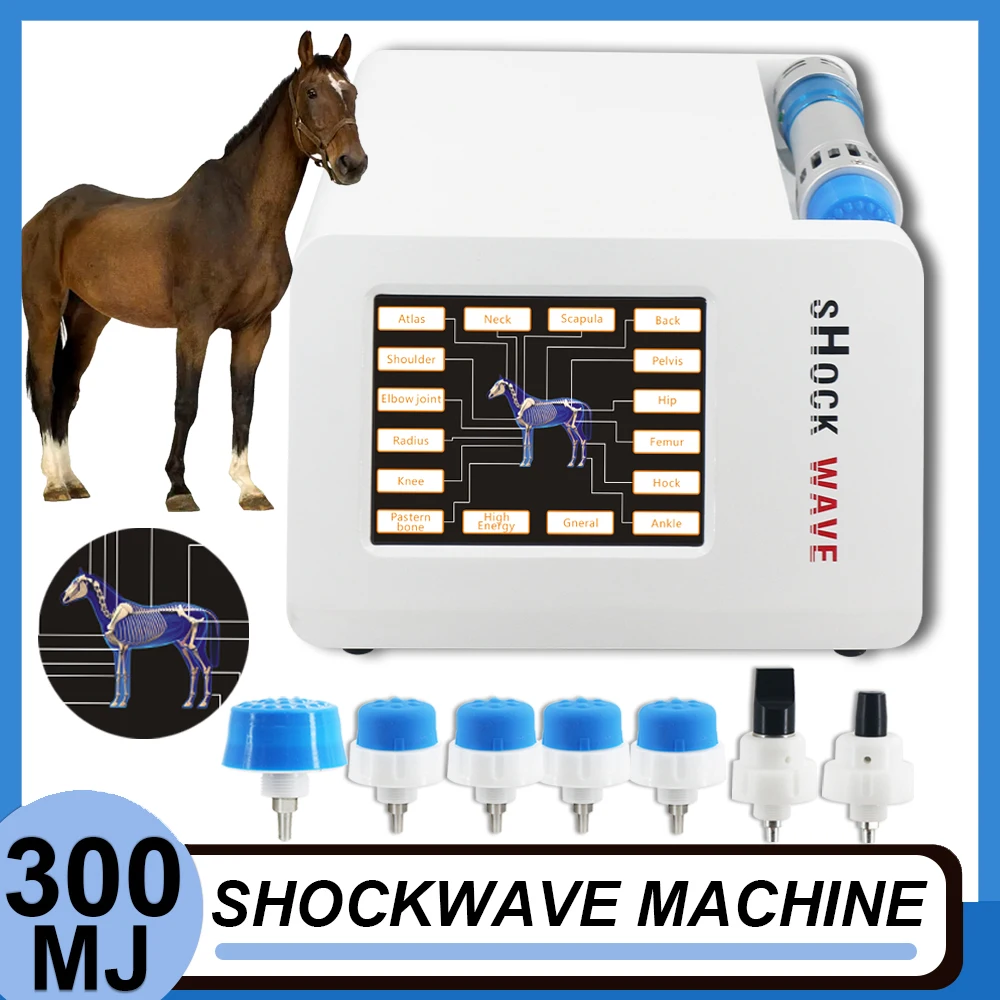 Horse Shockwave Therapy Machine Treating Tendinitis Veterinary Specific Devices Pain Relief Deep Muscle Massage Body Massager