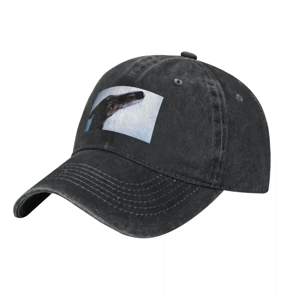 Greyhound - Galgo Espa?ol - Always there Baseball Cap Snap Back Hat Sports Cap Anime Hat New In Hat Caps For Women Men's