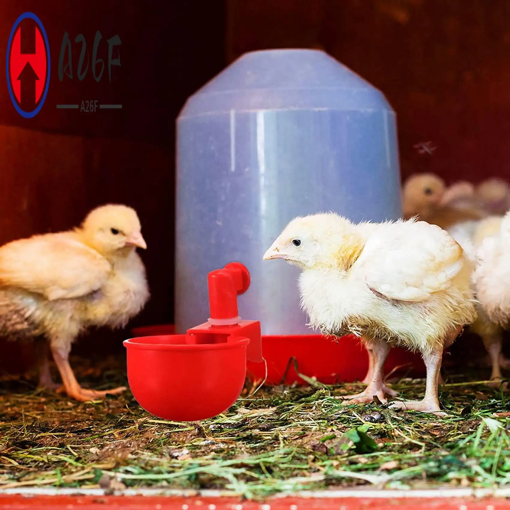 

A26F-48PCS Chicken Watering Cup Automatic Filling Waterer Poultry Drinking Bowl Thread Watering Feeder Cup For Chicken