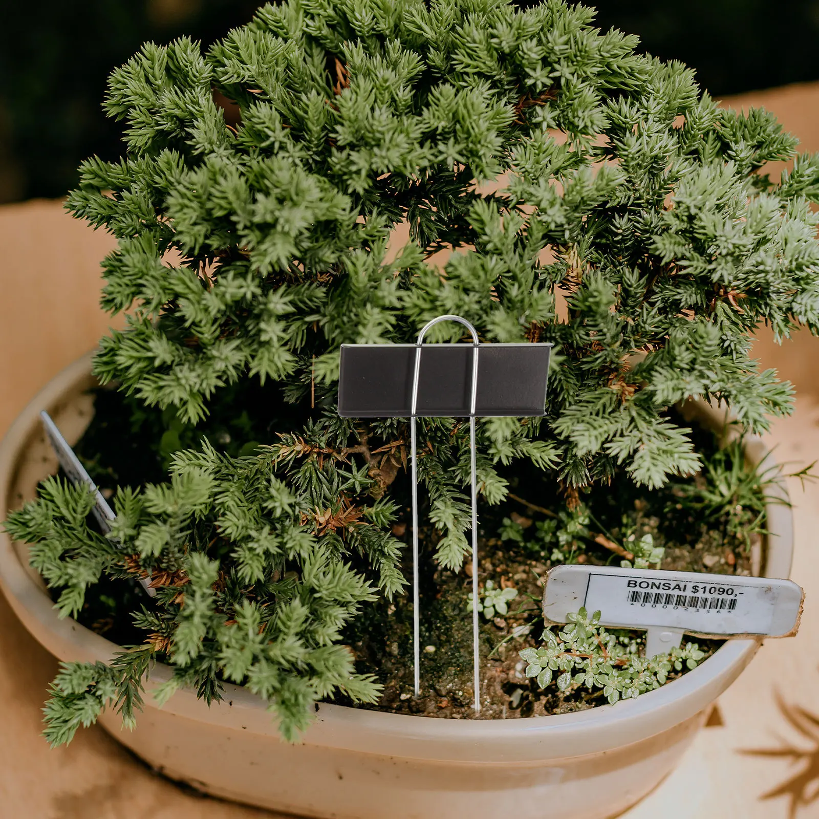 

12 шт. металлические этикетки для растений, гладкие прочные садовые маркеры для детской теплицы, наружного использования, именные бирки для растений для овощей, цветов