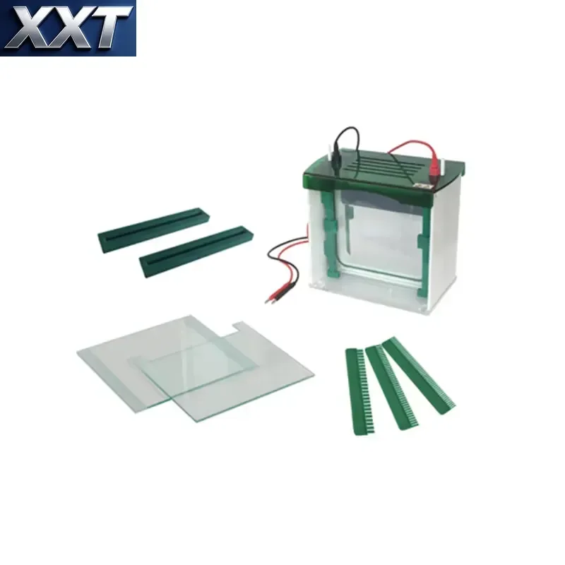 XXT Lab Highly Vertical Gel Electrophoresis Apparatus