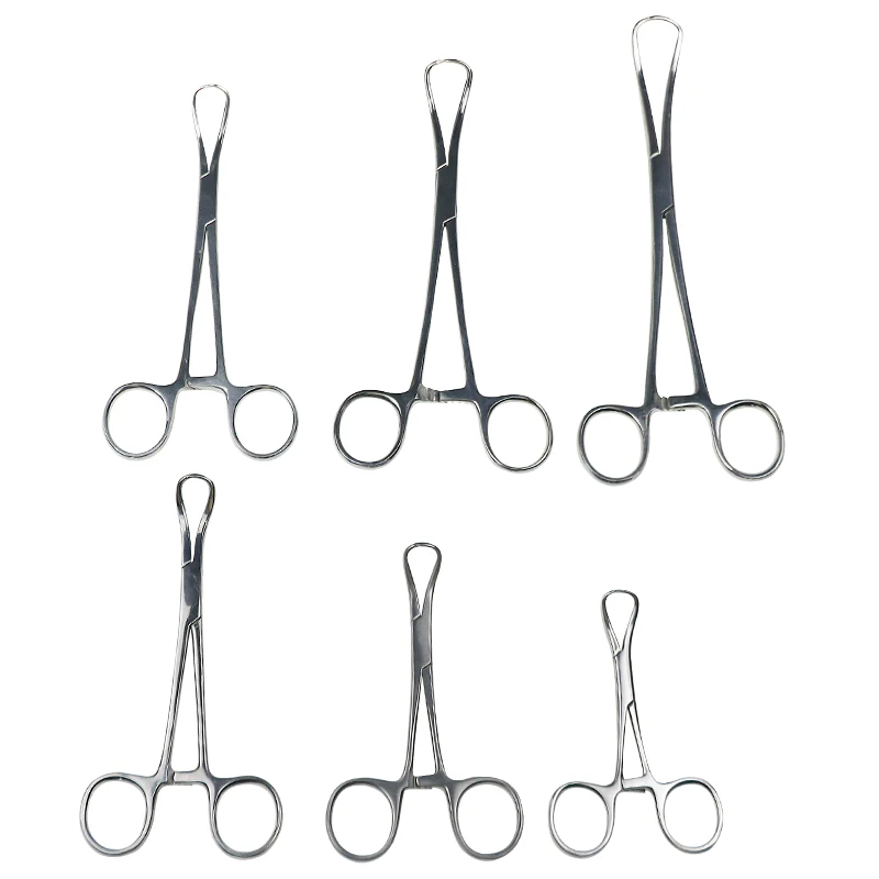 6Types Stainless Steel Towel Clamp Fixed Cloth Towel Plus Surgical Cloth Pliers Pointed Veterinary Surgery Instruments 1pcs