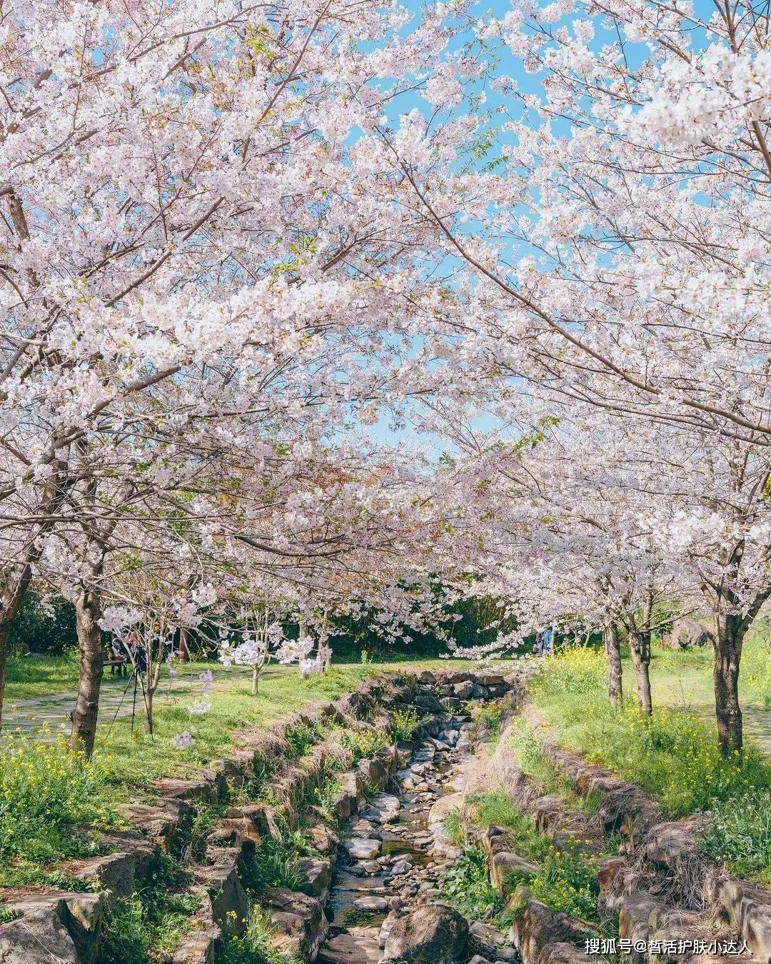 

Metal Upgrade Front Bumper, Rear Bumper & Trailer Hitch for MN 1/12 Tank 300 RC Car Spare Parts