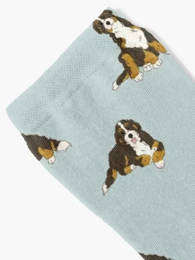 Bernedoodle Doodle Dog Socks loose gym Socks Ladies Men's