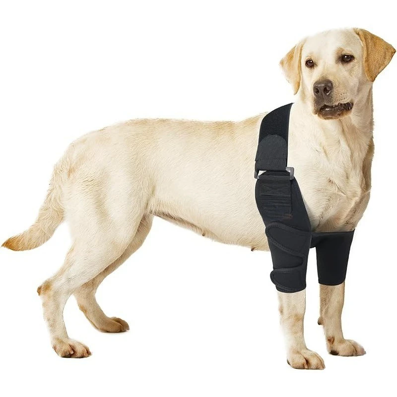 

Dog Elbow Knee Brace Support Wrap Joint Pain Relief Injury Recovery Protective Gear Small Medium Large Pets Hot Selling Item