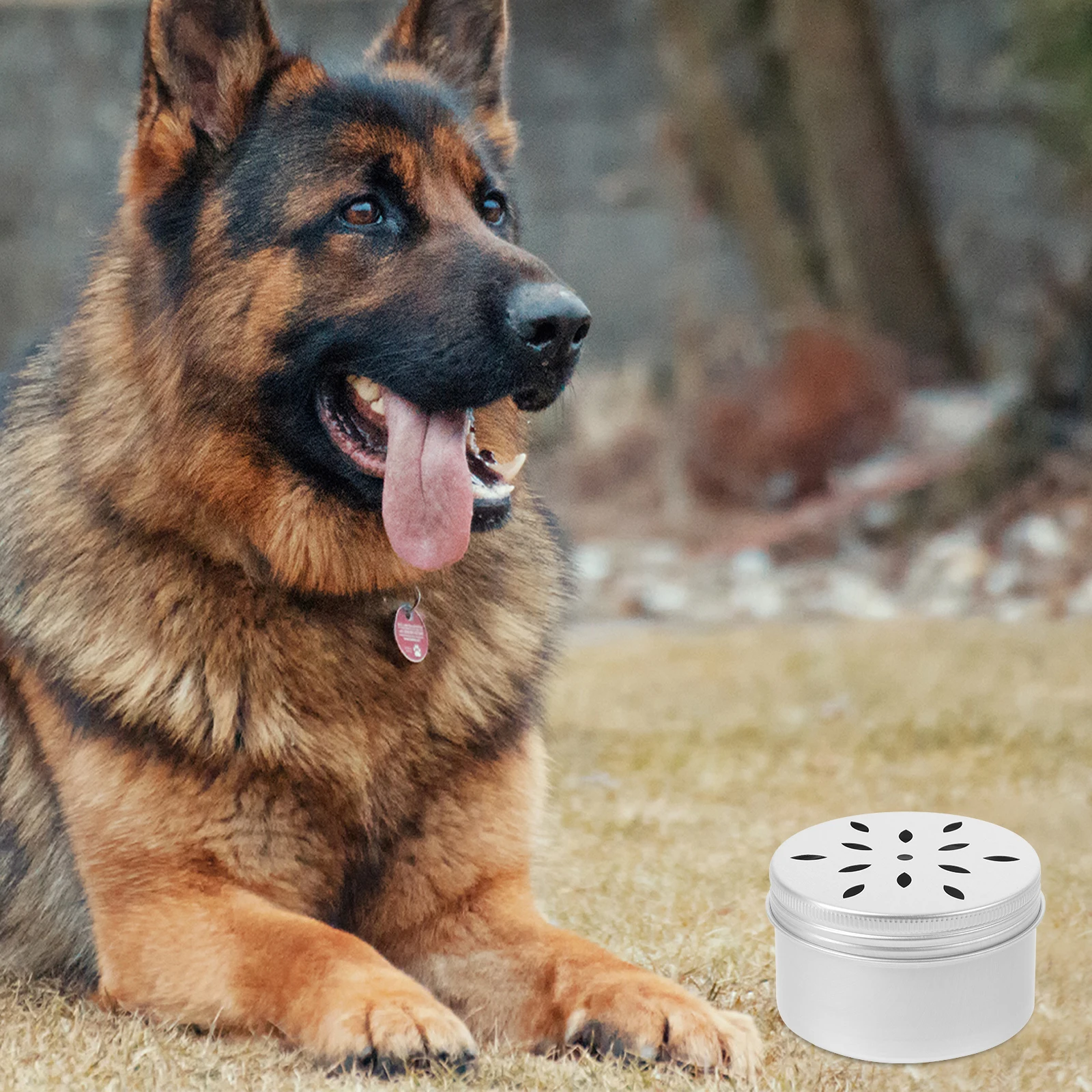 

10pcs Dog Scent Training Box 120ML Aluminum Odor Container Scentwork Equipment Nose Kit Pet Supplies Dog Training