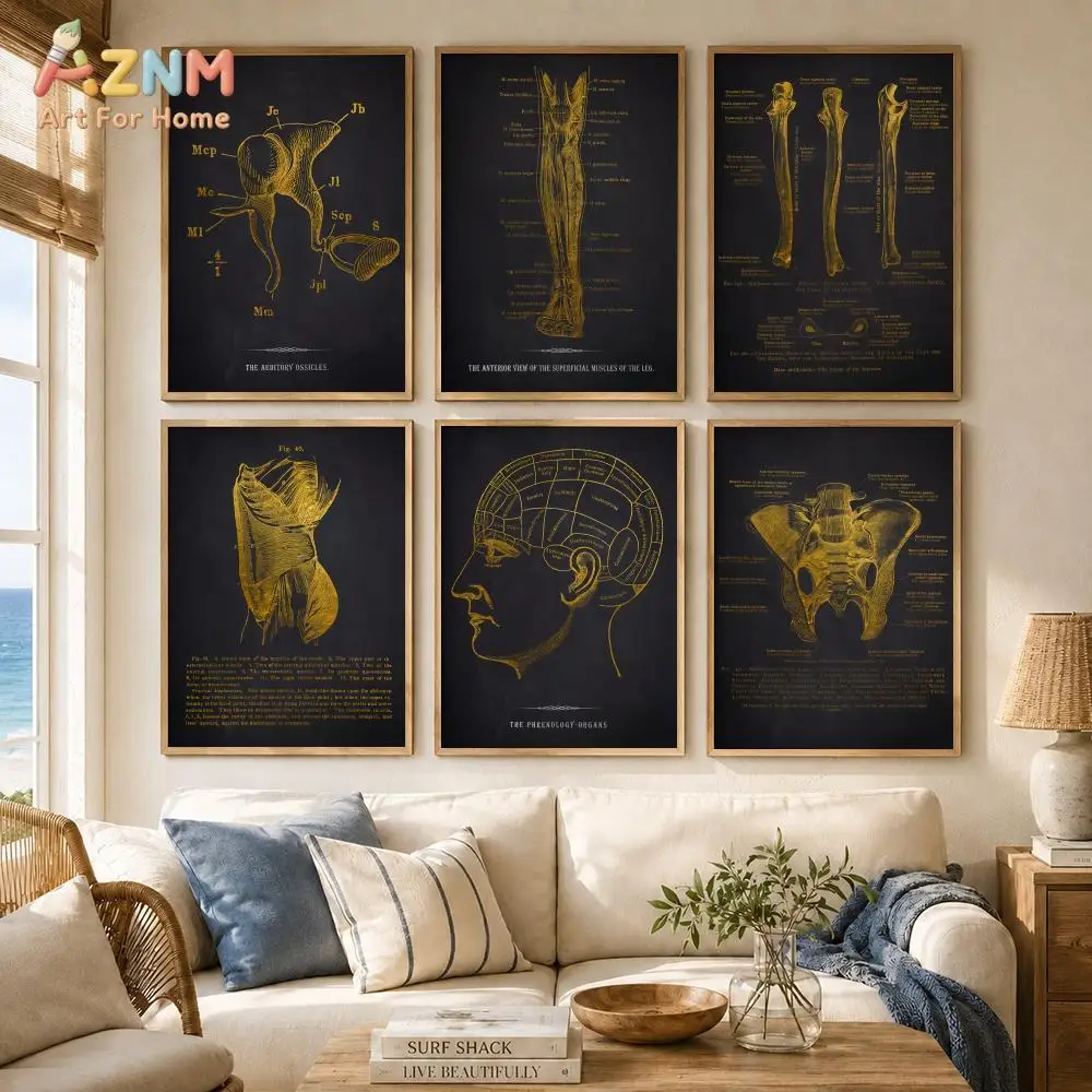 AZNM Gold Human Anatomy Canvas Wall Art Vintage Skeleton Muscle Medical Diagram Clinic Office Decor Poster Unframed