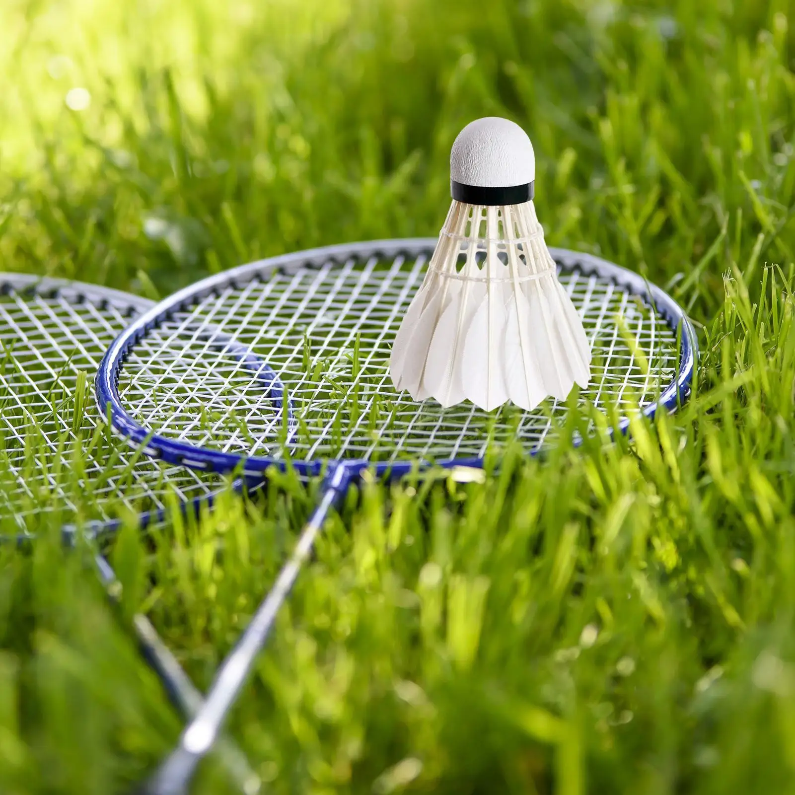 

3pcs Badminton Shuttlecock King Duck Feathers Shuttlecocks White Training Ball Shuttlecock High Speed Badminton Balls