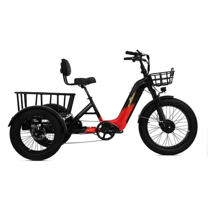 Surprise Price 160NM Torque Sensor Electric Tricycle 40ah Dual Batteries Etricycle 2000w Dual Motor Step Through E Trike