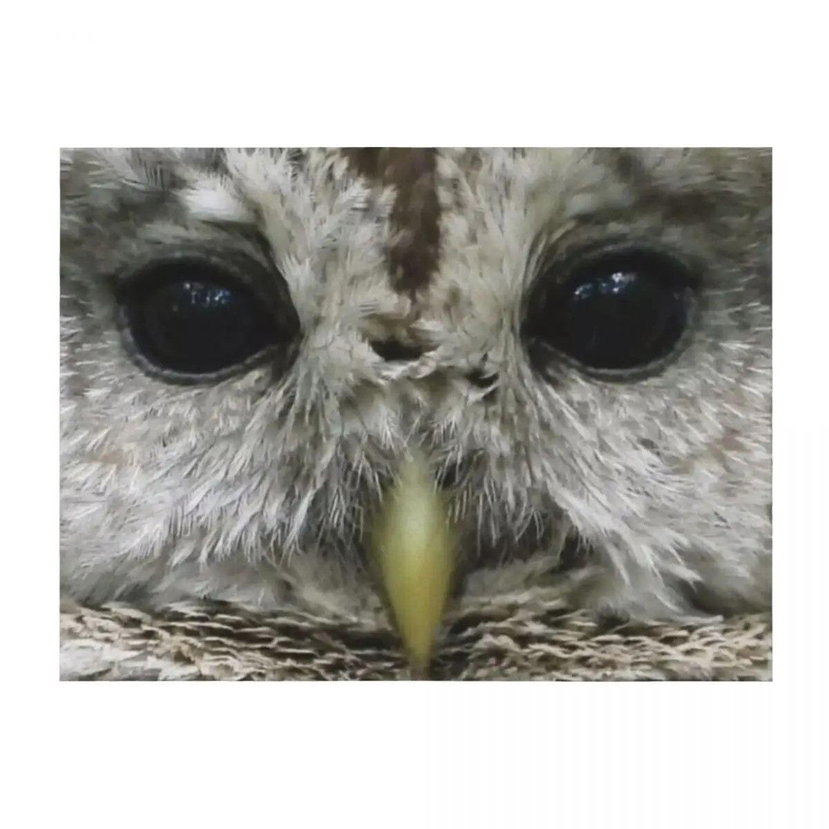 

Her (original version) Throw Blanket Plush Baby Blankets For Sofas Quilt Blankets