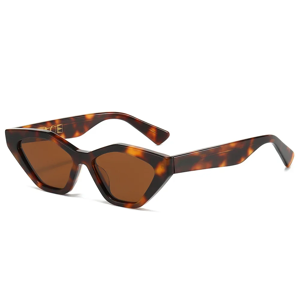 Lunettes de soleil rétro polygonales œil de chat pour hommes et femmes, verres polarisés TAC, mode, haute qualité, conduite, UV400, 2024