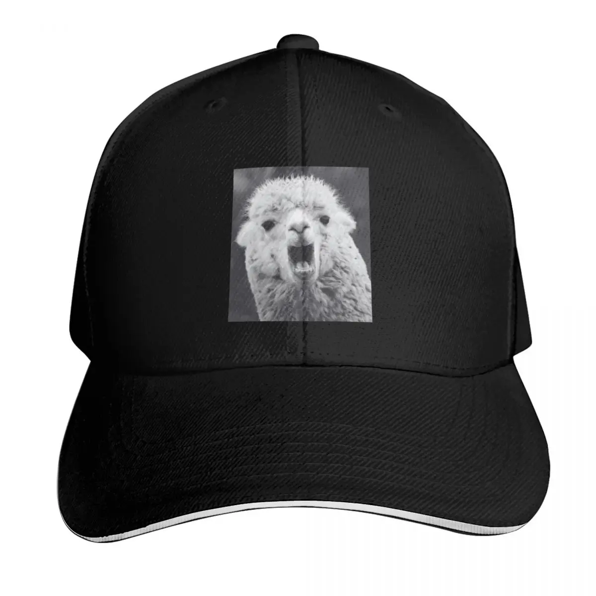 Cute Alpaca Baseball Cap Low Profile Unstructured Unisex for Men Women Outdoor Golf Running Hiking