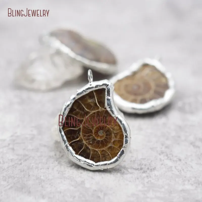 

Solder Pendant Natural Ammonite Sea Snail Wheck Conch Charm Siphonaria Nautilus Shell PM29200