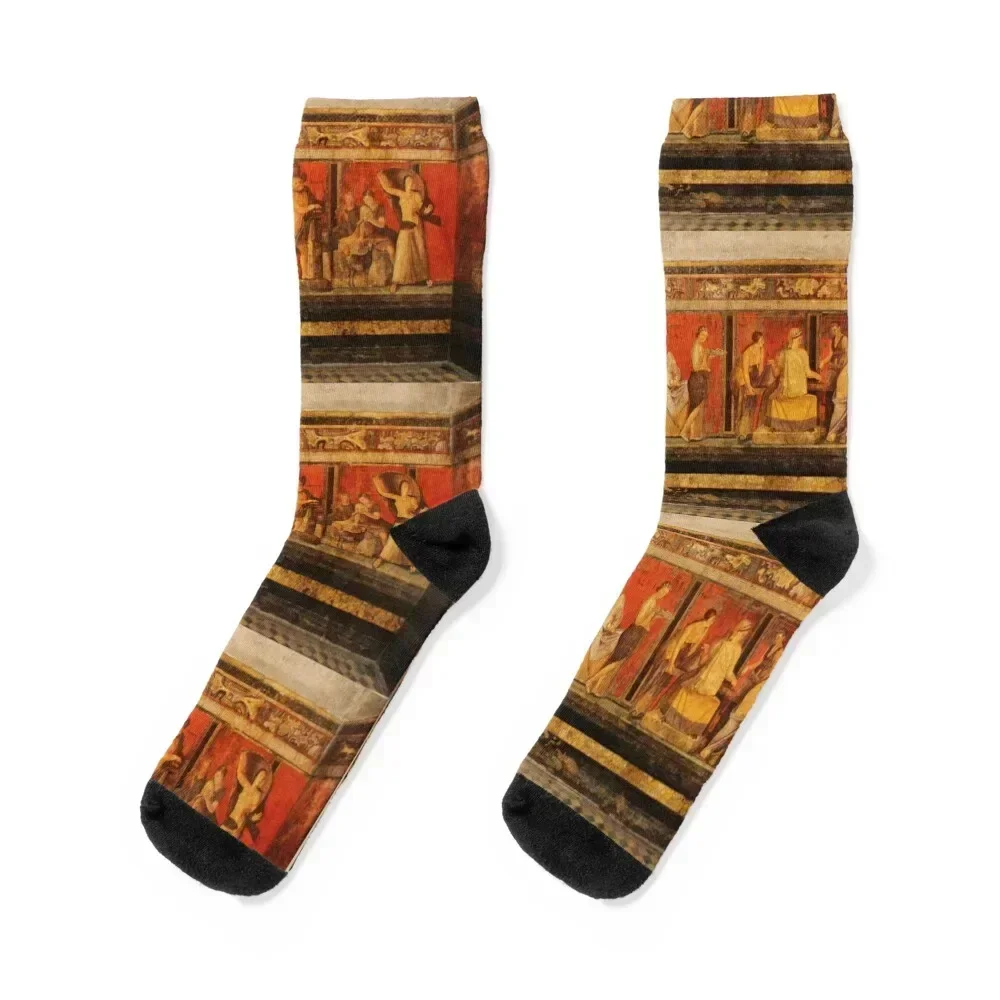 

Villa dei Misteri - Main Wall Socks gifts Stockings man designer Argentina Socks Female Men's
