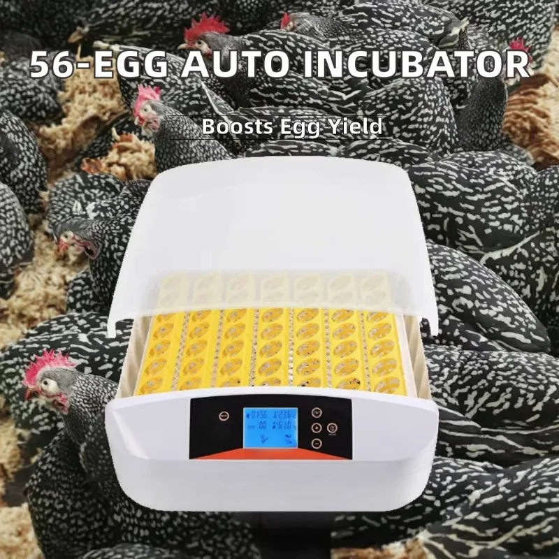 Fully Automatic 56 Egg Incubator for Households New Condition for Sale