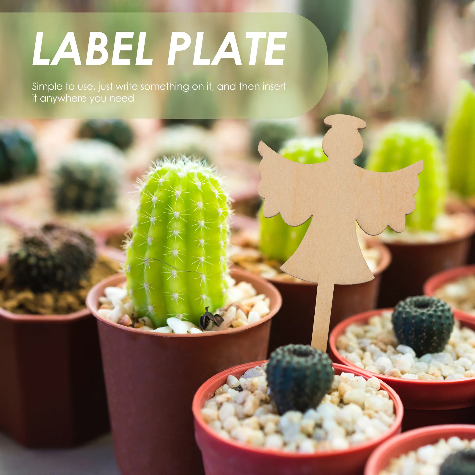 

10 Pcs Succulent Label Plant Distinguish Labels Flower Gardening Decorative Tags Classification Signs Name for Planting Pot
