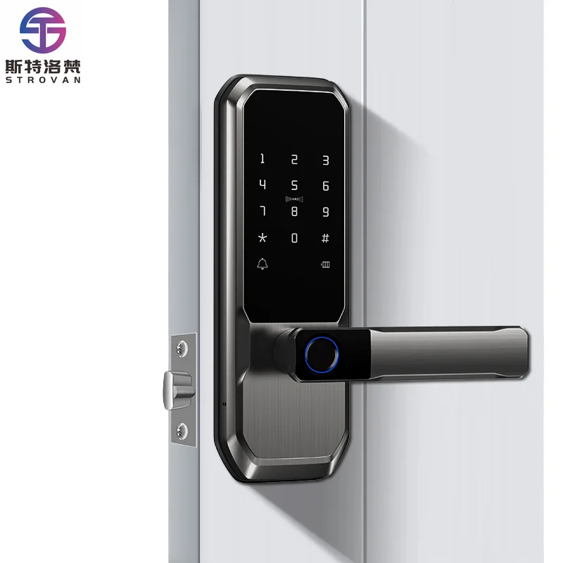 DL 30 Stainless Steel/Brass Smart Lock  App Cloud  Code Enabled Digital Deadbolt WIFI Unlock Fingerprint Aluminum Home