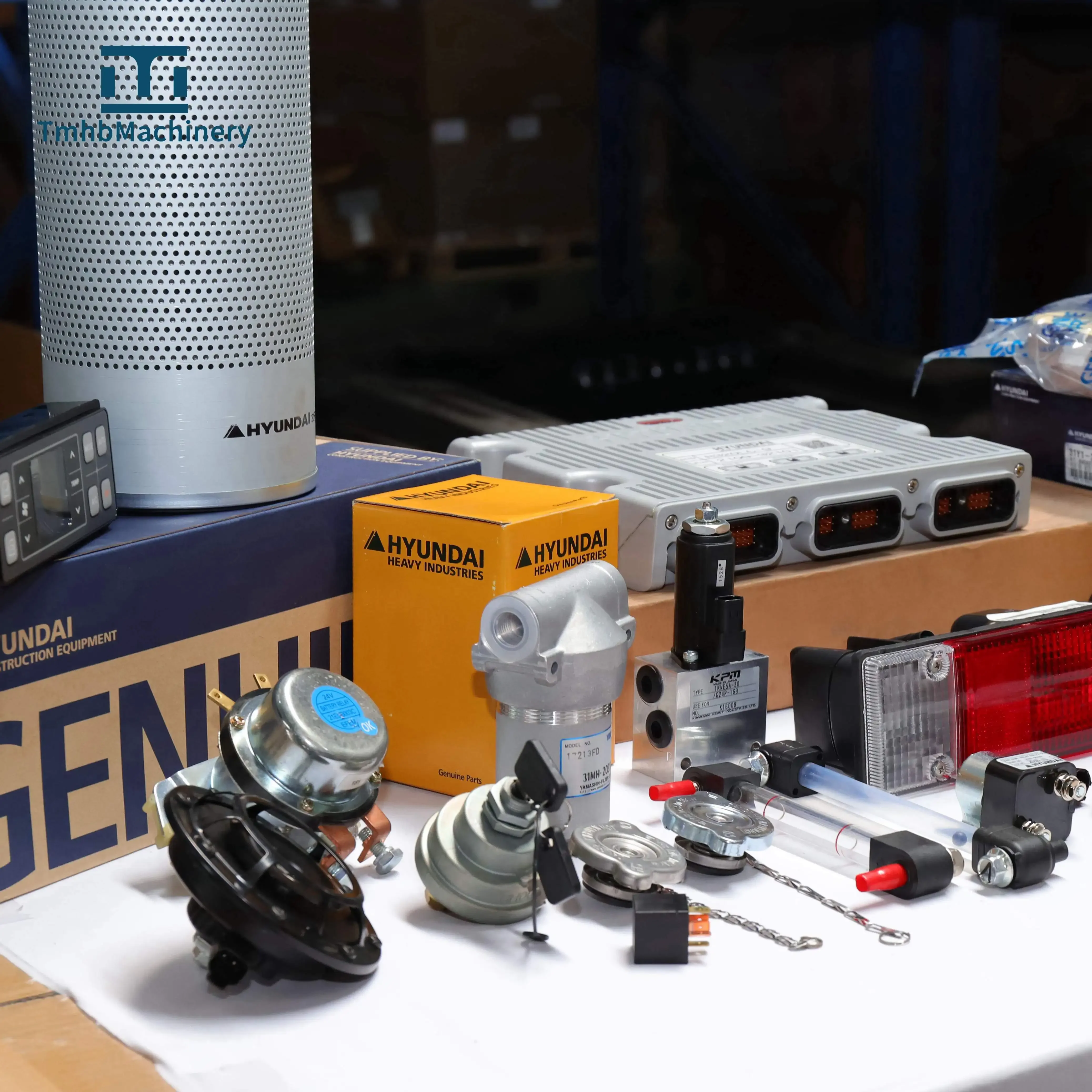 حفارة التوجيه اسطوانة ZTAM-01097 81M9-40110 ZTAM-00757 ZTAM-01098 ZTAM-01099 للحفارة HW60 R55W-9 R60W-9S