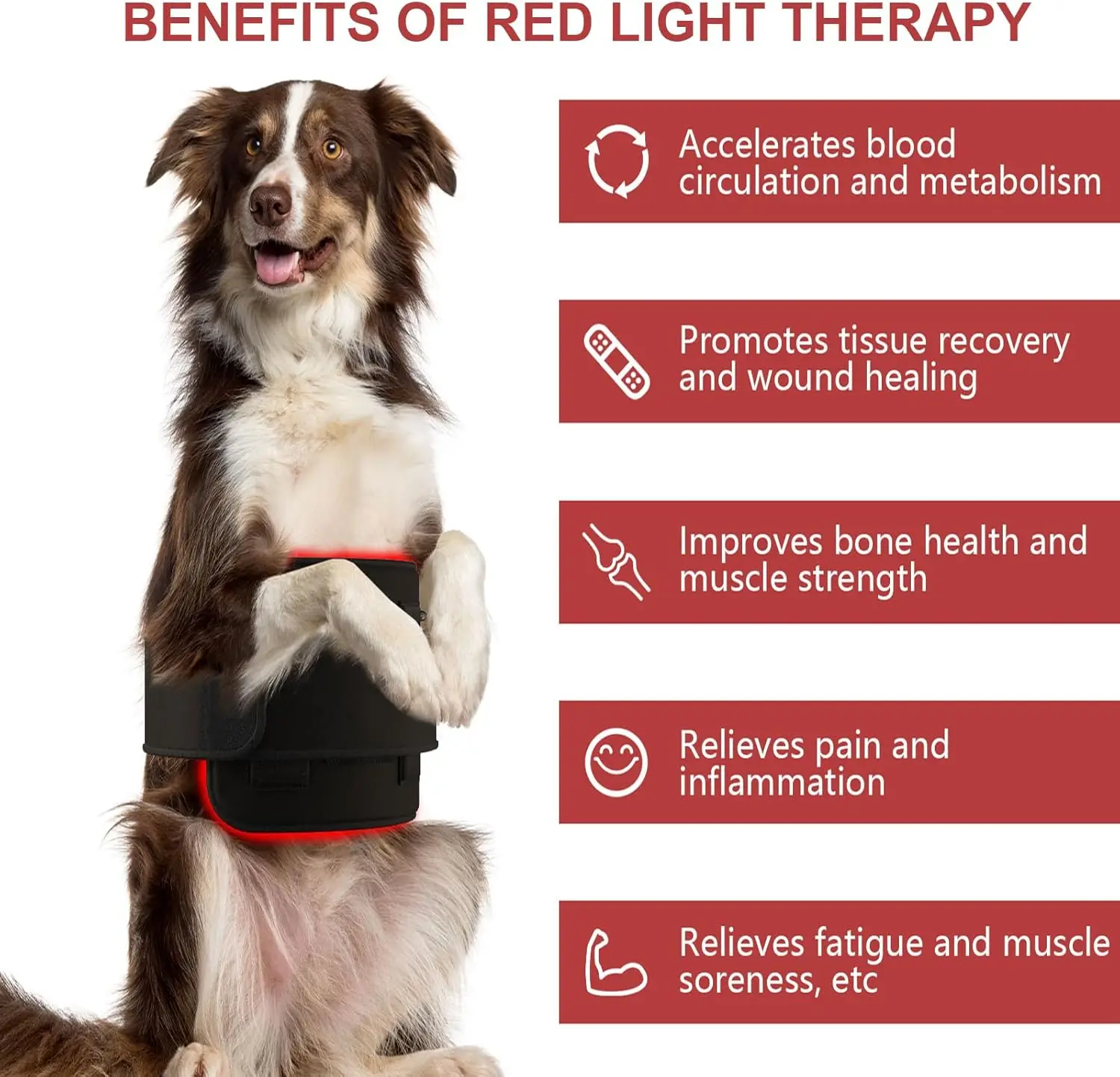 Red Light Therapy Belt for Animals Joint Pain Skin Disease 660nm 808nm 384 Diodes Cold Laser Therapy Device for Pets Pain Relief