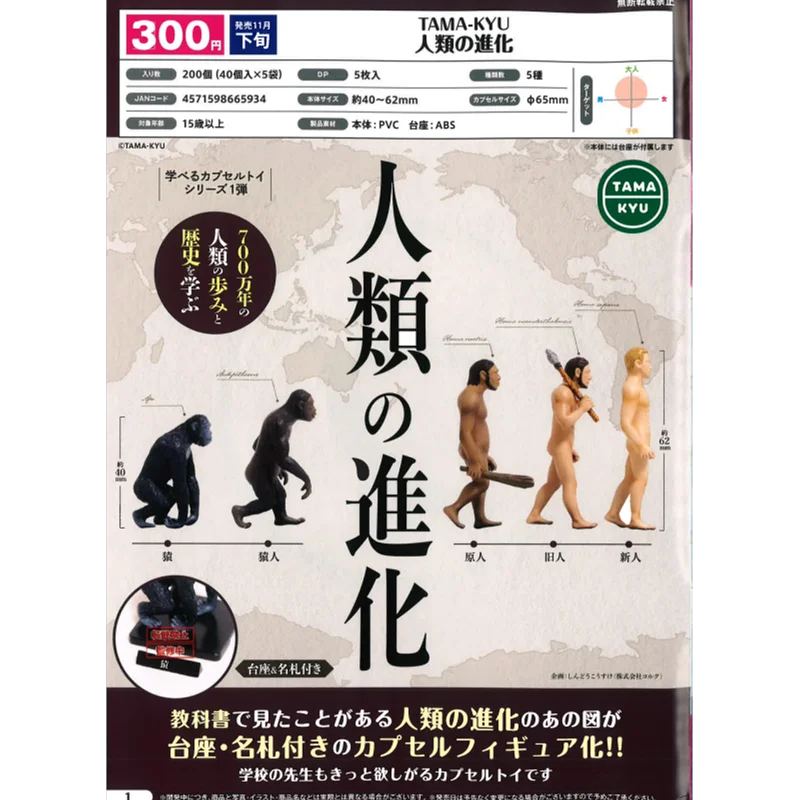 Japan Bushiroad Gashapon Capsule Toy Humanity Evolutionary History Decoration Ape Man Caveman Process