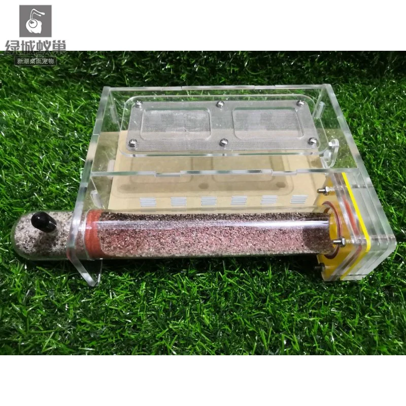 

30 caliber single test tube nest ant nest ant home small colony ant nest with support acrylic ant nest green city ant nest