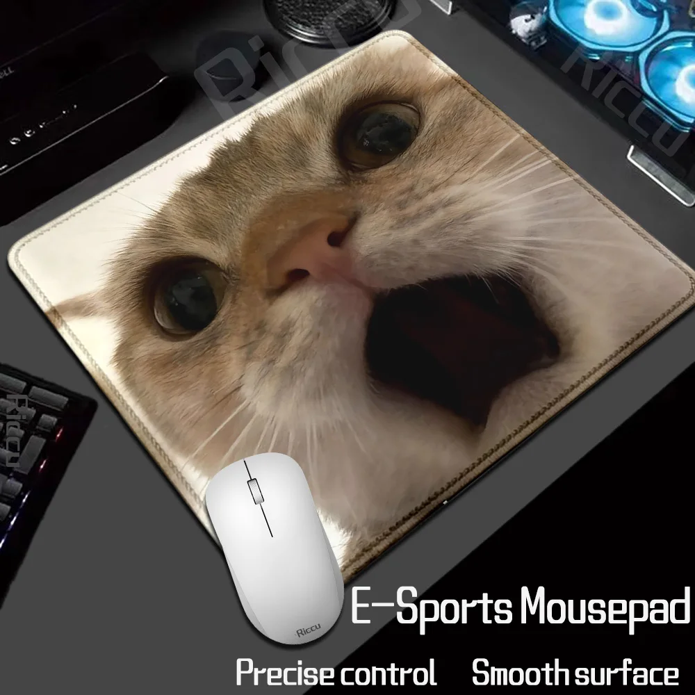 HD XL Kawaii Modische Beliebte Lustige Niedliche Katze Kleine Größe Meme Mauspad Laptop Büro Anime Mausunterlage Gummi Tastaturunterlage Schreibtischunterlage – Detail 6