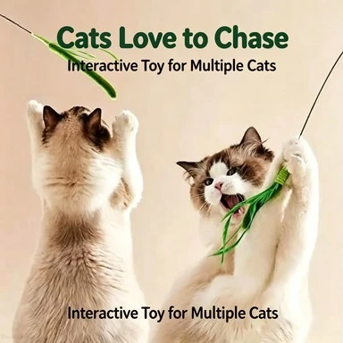 Pro-Grade Feather Teaser Wand | Ultra-Durable Flexible Wire Design, Premium Cat Entertainer for Endless Interactive Bliss