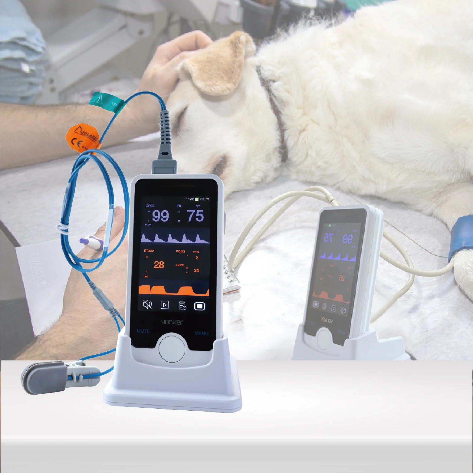 The latest pet oximeter, home pet store life monitoring equipment, blood oxygen and blood pressure NIBP Etco2 pet life monitor