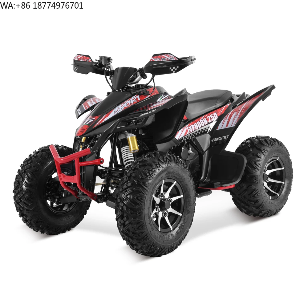 Tao Motor 2024 New ATV 250cc 4x2 Chain Drive Sport Cuatrimoto