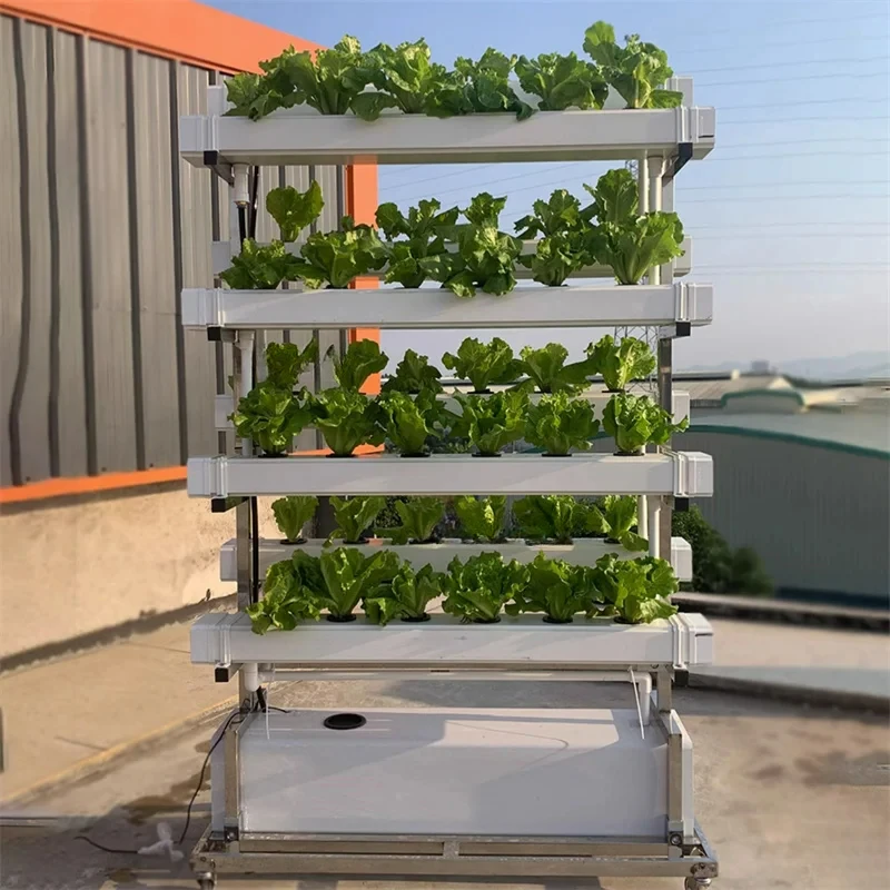 NFT Hydroponic System Soilless Cultivation Vegetable Planting Machine Vertical Hydroponic Multi-layer Vegetable Growing Machine