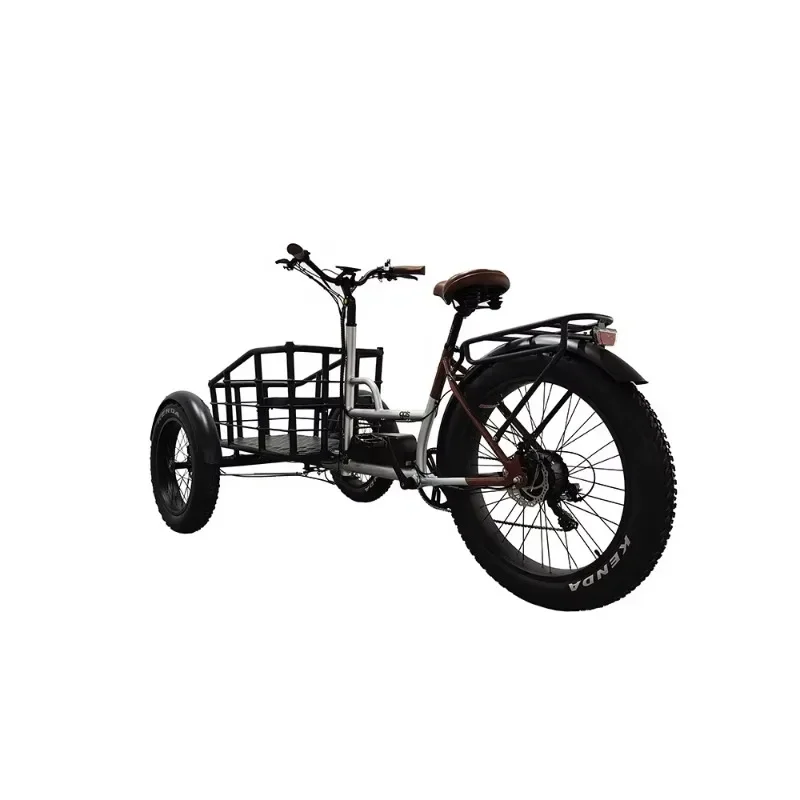 speed electric cargo bike 3 wheel Three-wheel high quality electric tricycle cargo wheel electric tricycle