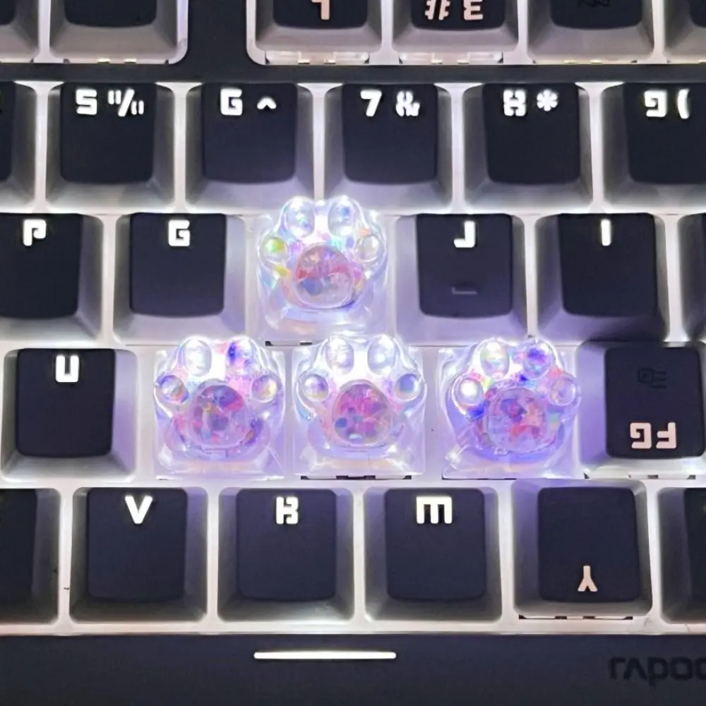 Transparent Cat's P… - image