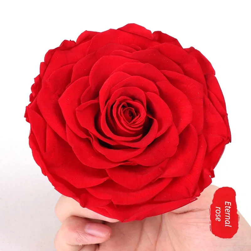 Immortal Rose Flower 9-10cm Single Giant Rose Valentine's Day Gift  Red Rose Eternal Rose Big Red Rose