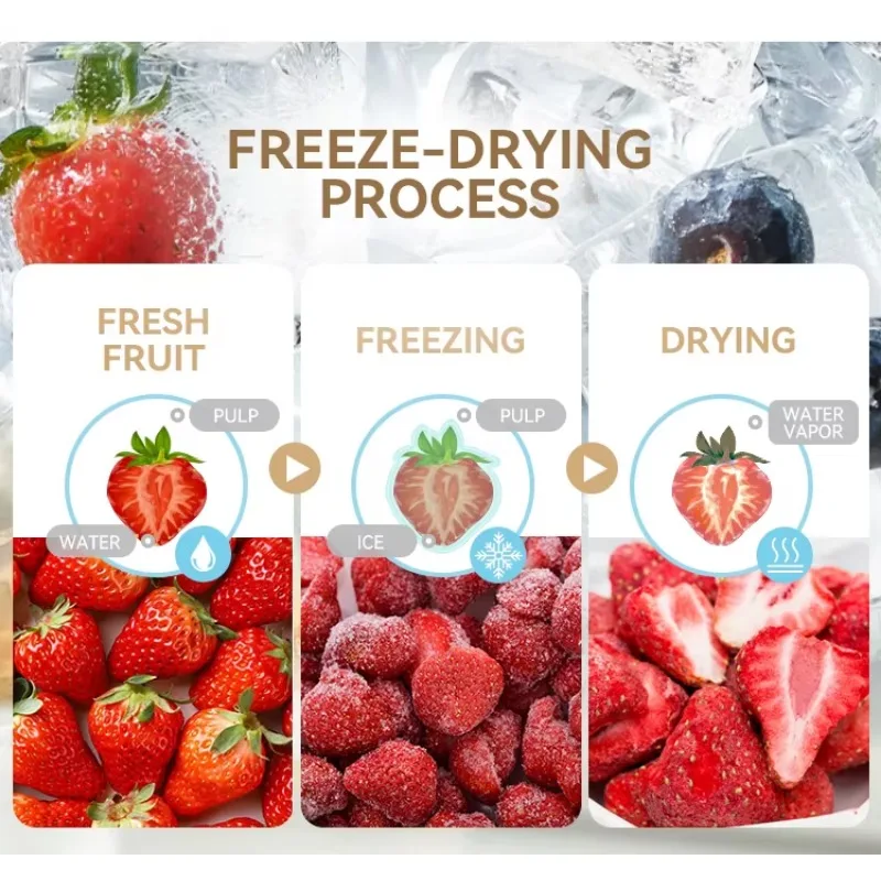 7 Trays 20kg Freeze Dryer For Commercial Dehydration Fruit Vegetable Candy Meat Lyophilizer Equipment