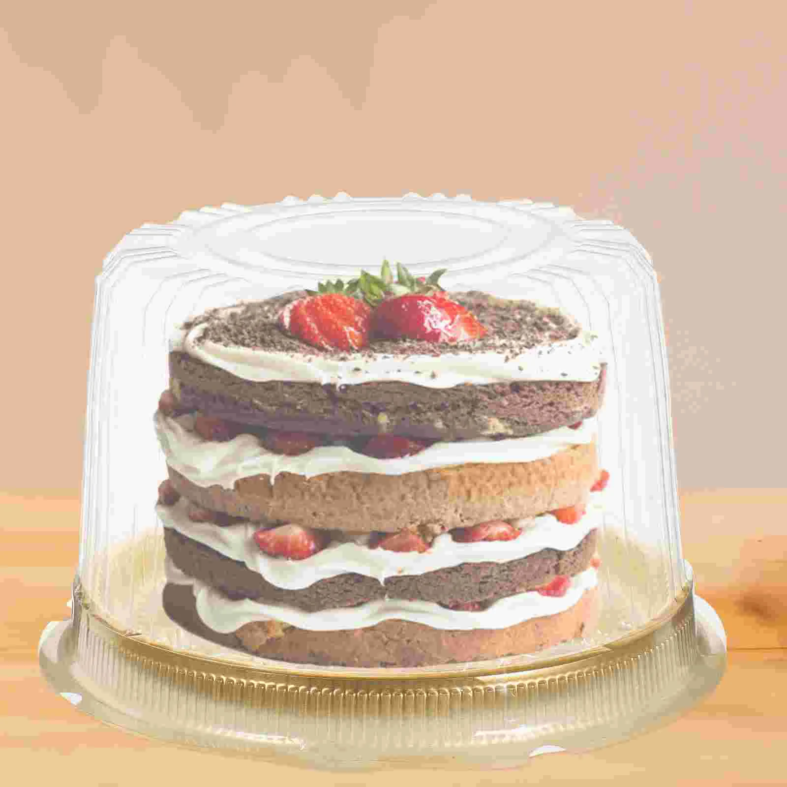 10 Pcs Cake Cheese Storage Box Containers Carriers with Lids Clear Round Mousse Pie Plastic for The Pet Biscuit