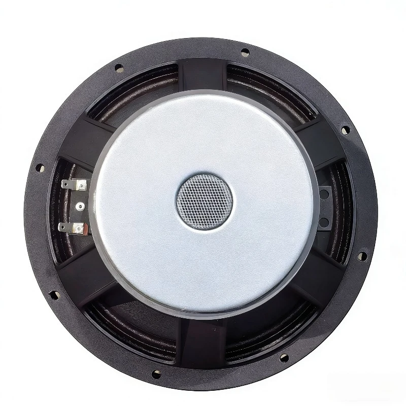 

10 Inch Ferrite High Quality Speaker Unit for Professional Line Array and Full Range Speakers