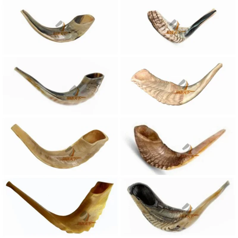 

POLISHED SHOFAR Israel Genuine Natural Rams Horn Smooth Mouthpiece for Easy Blowing