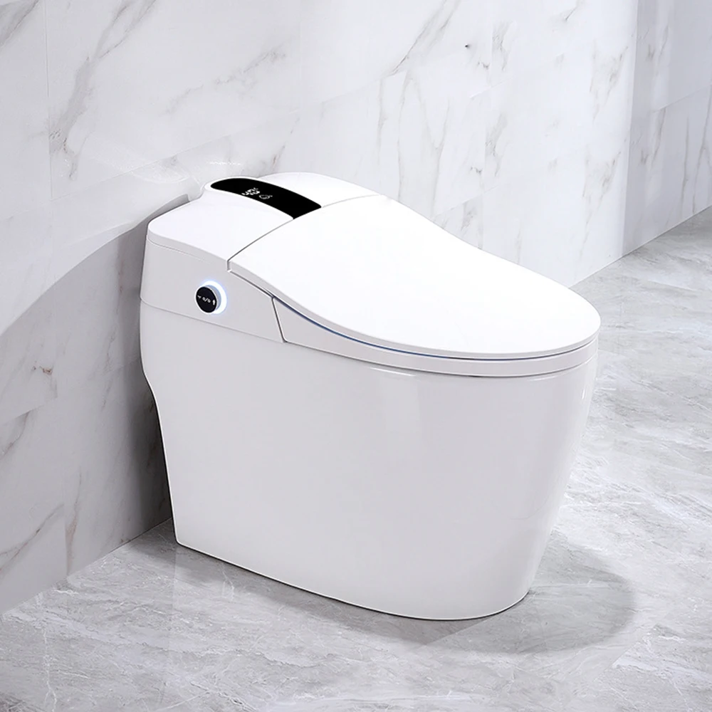 

Luxury S-trap Intelligent Floor Mounted WC Remote Controlled Smart Bidet Toilet RSi5-2AB