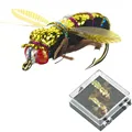 Double winged bee