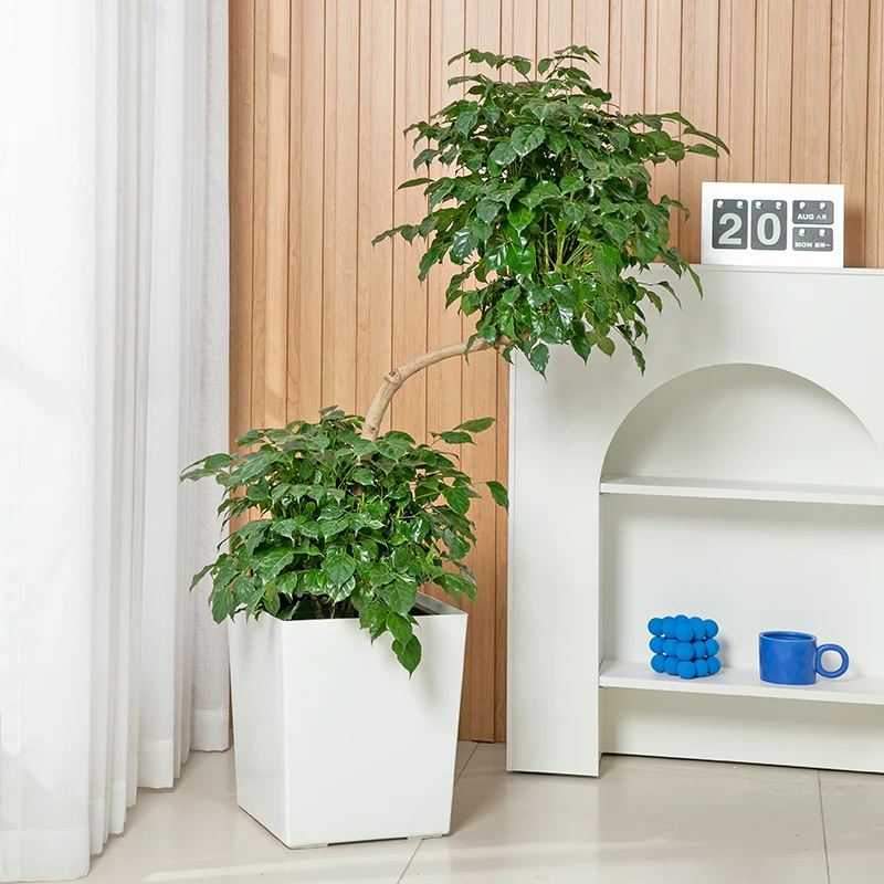 

2026 Дизайн садовых кашпо: большие уличные и комнатные кашпо, большие подвесные кашпо, минималистичные, маленькие, винтажные, самоводоспаивающиеся. Принадлежности.