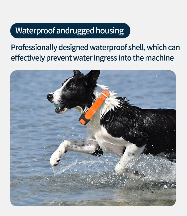 4G GPS Tracker for Dogs, Hunting Dog Tracker Collar, GPS+Beidou+WiFi+LBS, Camera Photo, Voice Monitor, IP67, 4000mAh