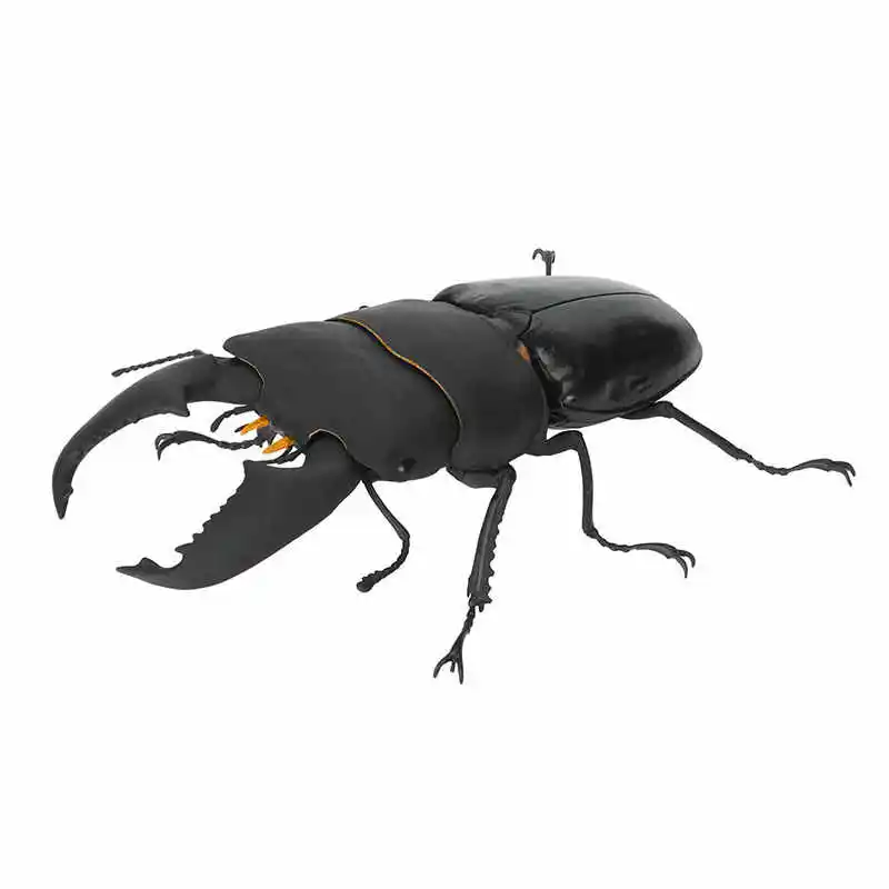 Hot Bandai Stag Beetle Gashapon No.10 - Rainbow Life Cycle Insect Model Realistisch stamspeelgoed Klassiek verzameldierfiguur