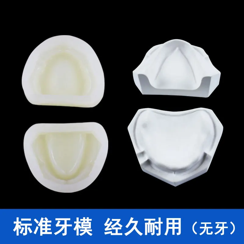 Gum Stamping Back Dental Standard Silicone Model Toothless Veneer Practice Base