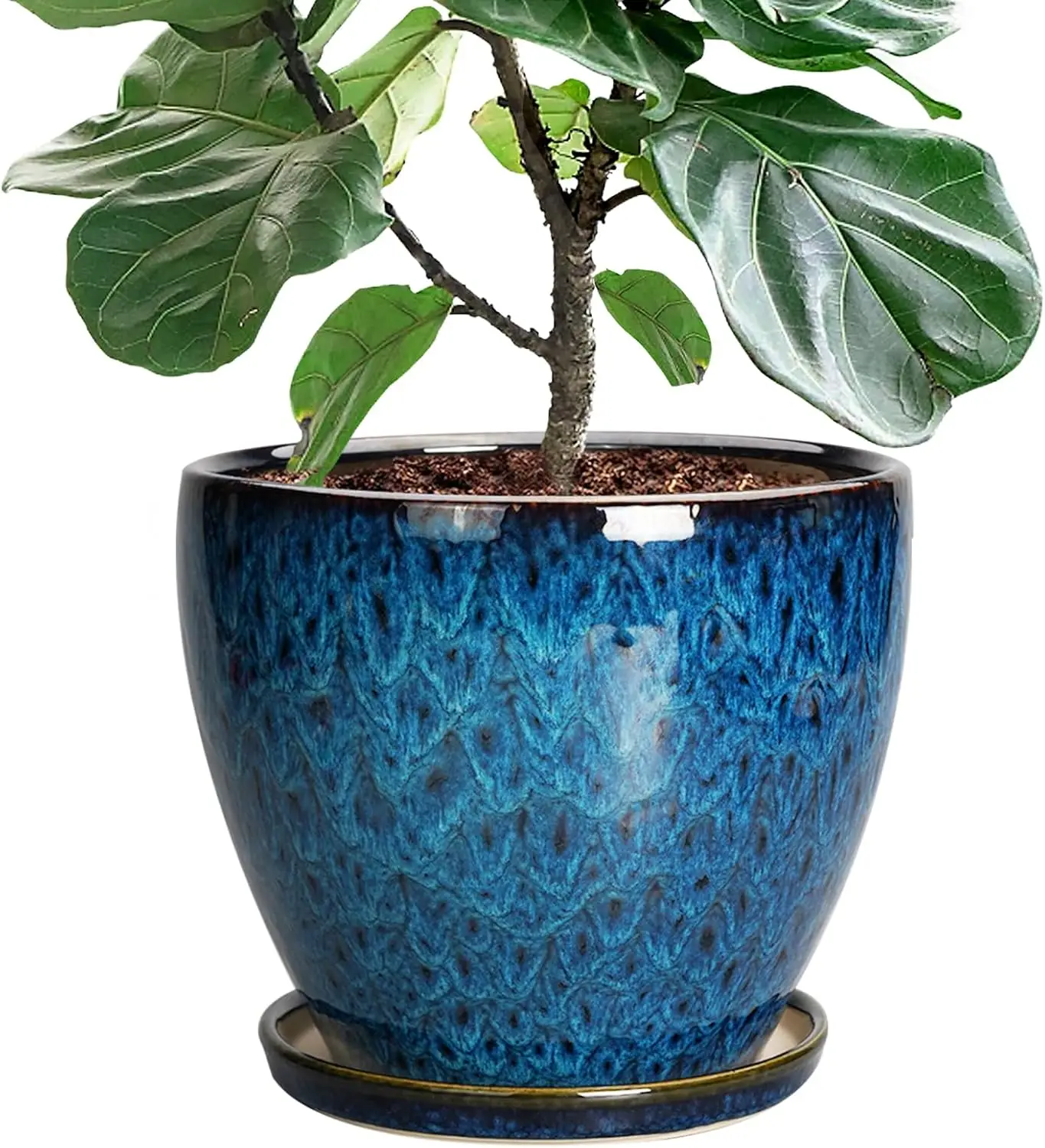 

10 Inch Ceramic Planter Pot with Drainage Hole and Saucer for Indoor Outdoor Plants Blue