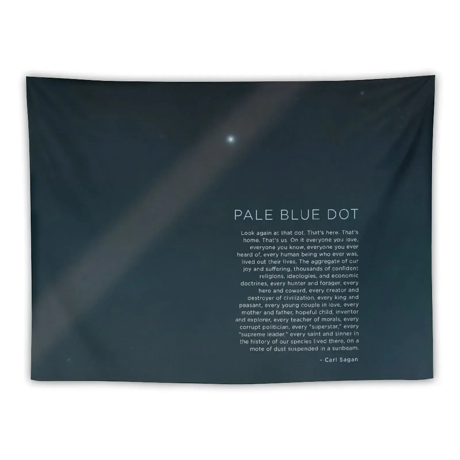 

Carl Sagan's - Pale Blue Dot 2 Tapestry Aesthetic Room Decorations Bedroom Deco Bedroom Decor Tapestry