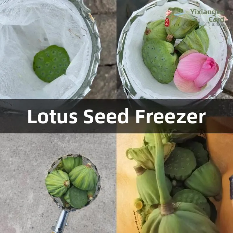 Retractable Pole Lotus Seed Picking Tool High Altitude Fruit Harvesting Special Tool for Gardening And Home Use