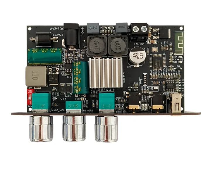 

1001UM с караоке-микрофоном, реверберация, моно 100 Вт, плата усилителя Bluetooth TWS, уличный динамик TPA3116