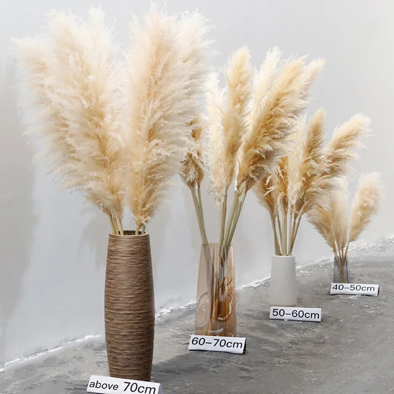 Tall Fluffy Large Pampas Grass Dried Flower Bouquet Home Room Wall Decor Wedding Arrangement Decoration 10PCS Plume 30-75cm