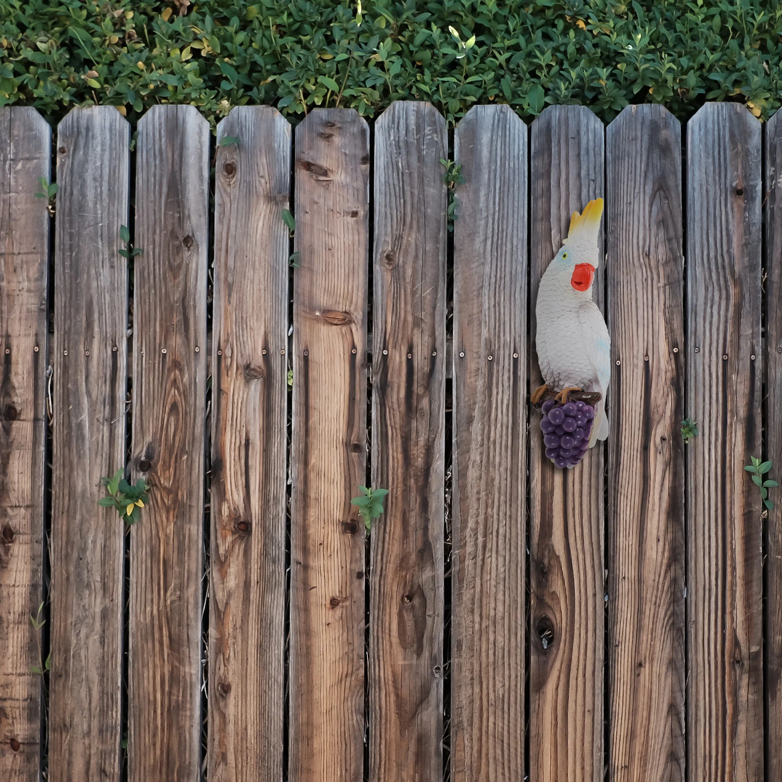 

1Pcs Beautiful Bird Ornament Fine Craftsmanship for Home Garden Balcony Decor Bird Decor Garden Ornament Animal Craft